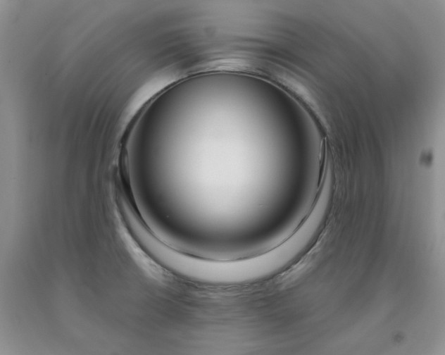 X0000091991426200709201438