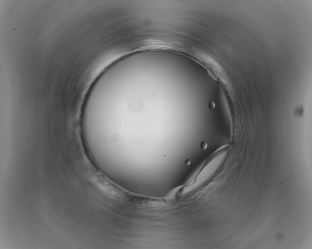X0000091991427200709201438