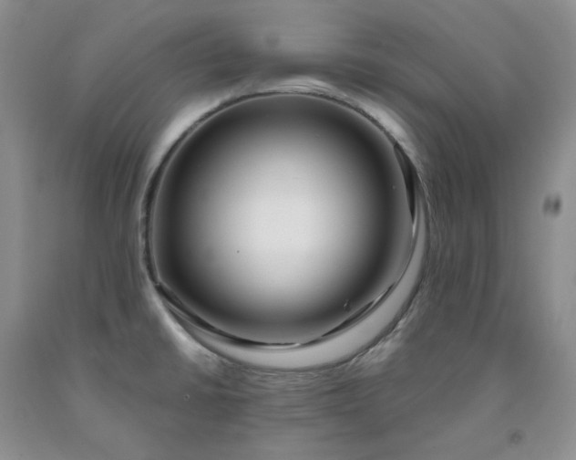 X0000091991430200709201438