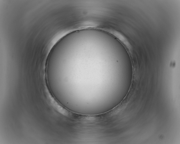 X0000091991431200709201438
