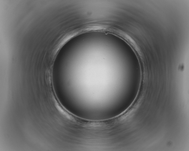 X0000091991433200709201438
