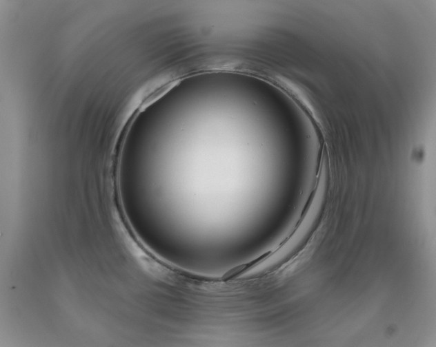X0000091991434200709201438