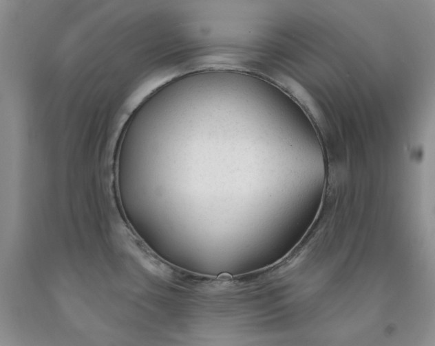 X0000091991435200709201438