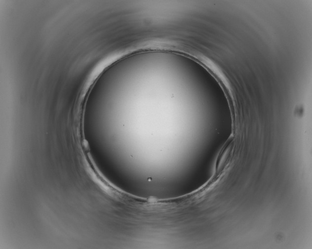 X0000091991437200709201438