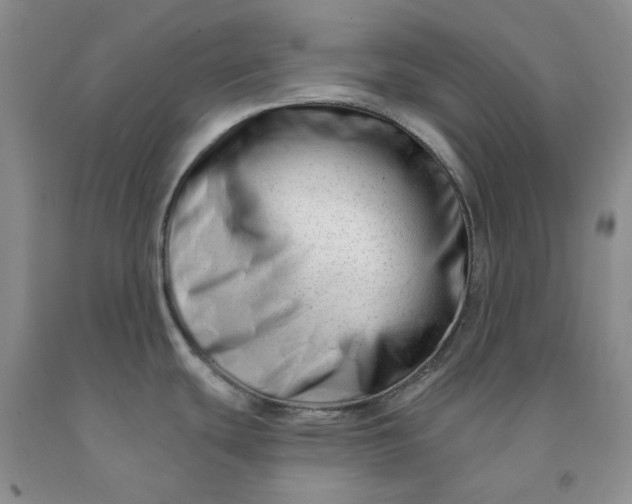 X0000091991439200709201438