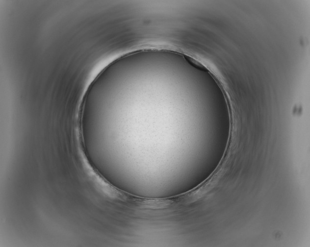 X0000091991440200709201438