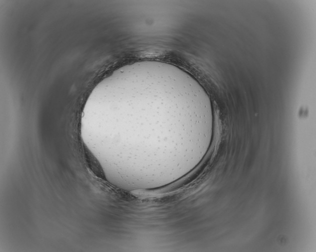 X0000091991441200709201438