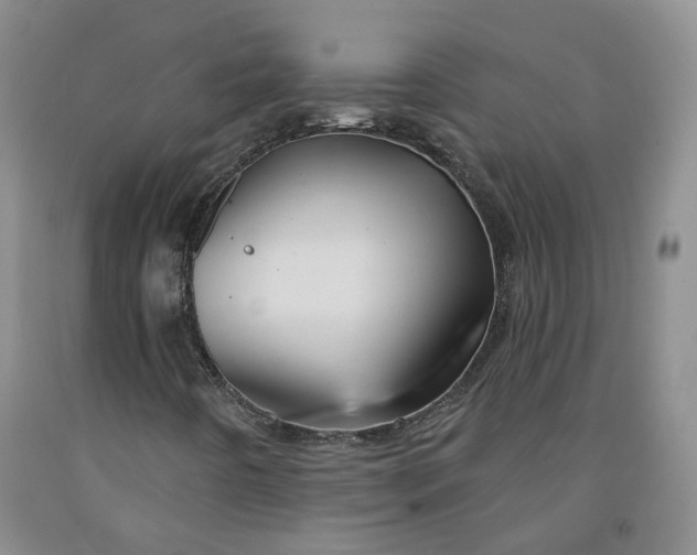 X0000091991442200709201438