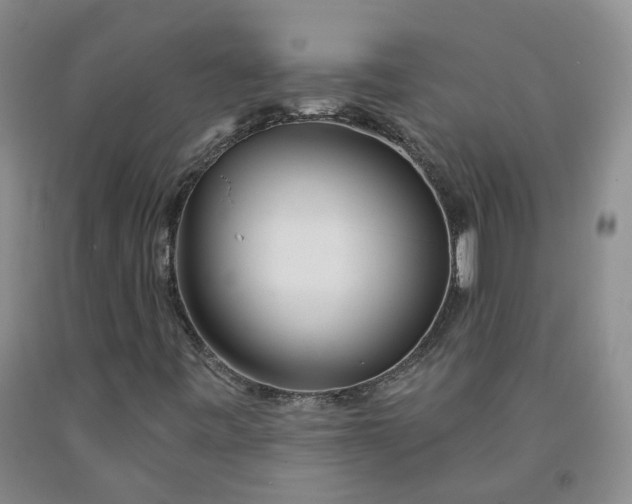 X0000091991443200709201438
