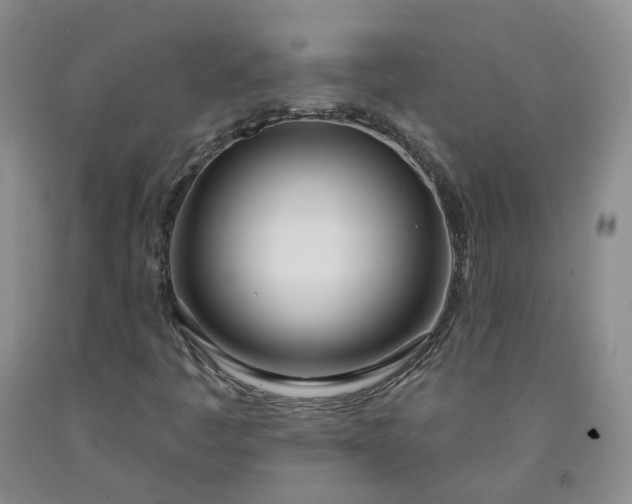 X0000091991445200709201438