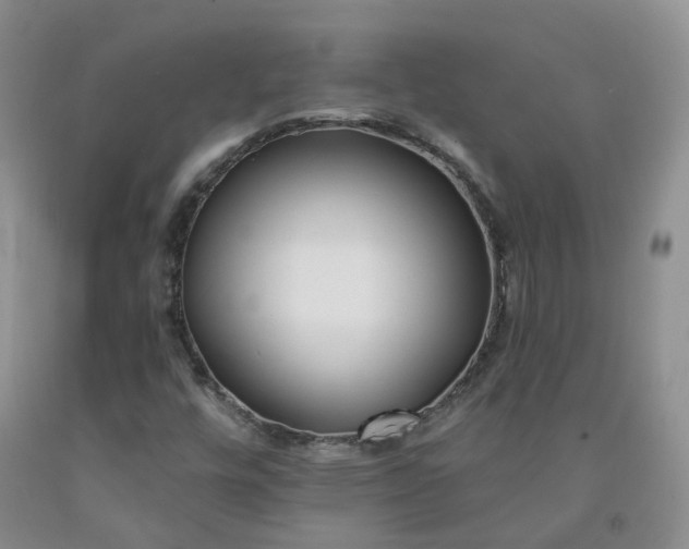 X0000091991448200709201438