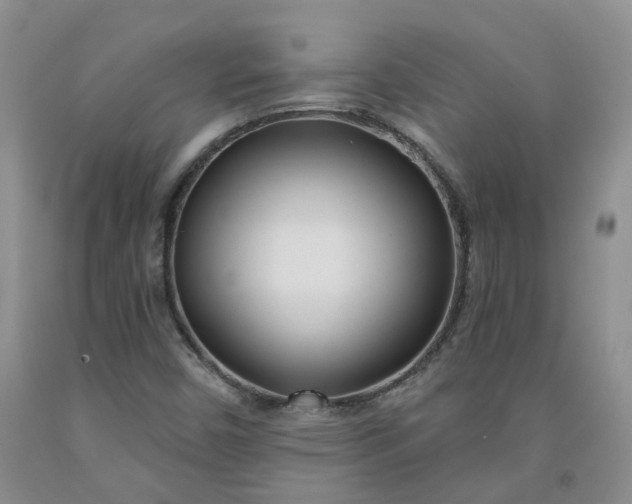 X0000091991450200709201438