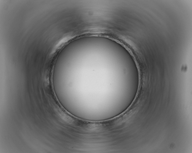 X0000091991451200709201438