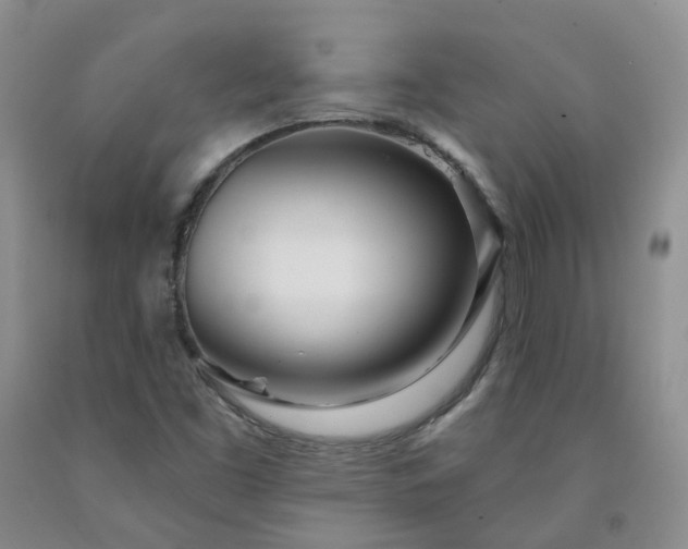X0000091991453200709201438