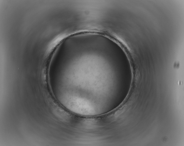 X0000091991455200709201438