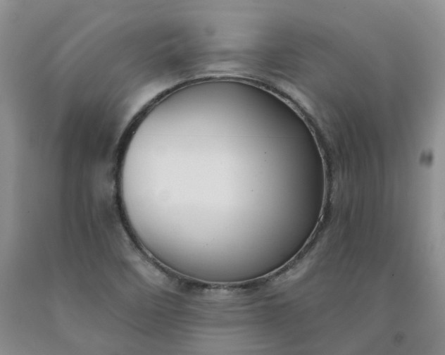 X0000091991458200709201438