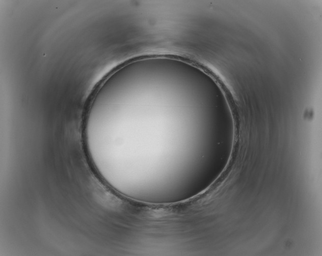 X0000091991460200709201437