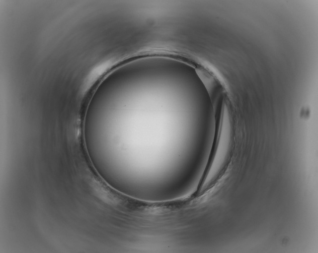 X0000091991461200709201437