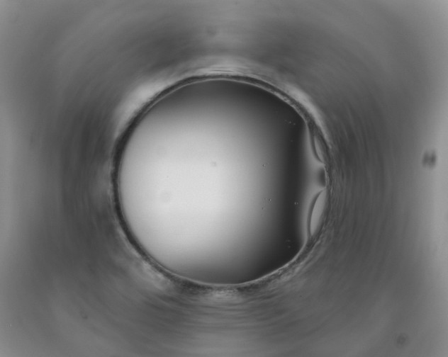 X0000091991464200709201437