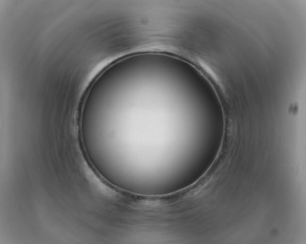 X0000091991468200709201437