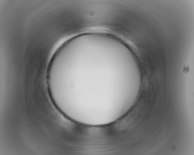 X0000091991470200709201437