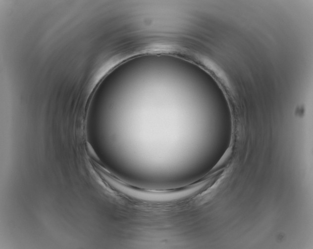 X0000091991473200709201437