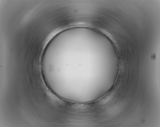 X0000091991474200709201437