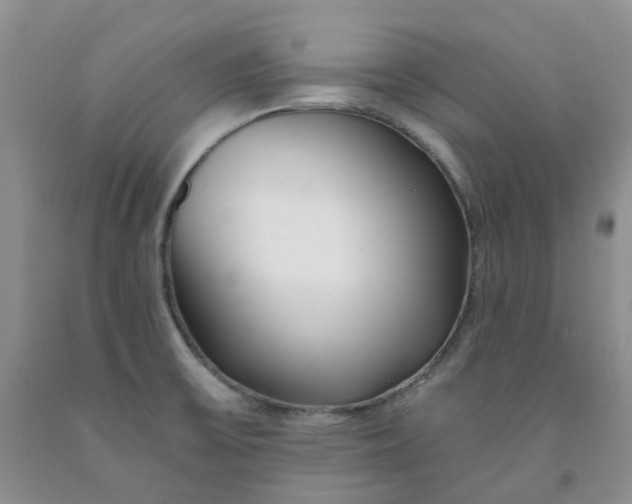 X0000091991475200709201437
