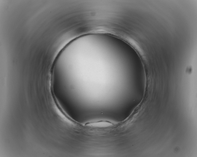 X0000091991476200709201437