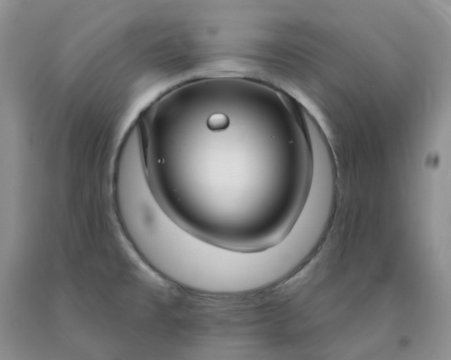 X0000091991477200709201437
