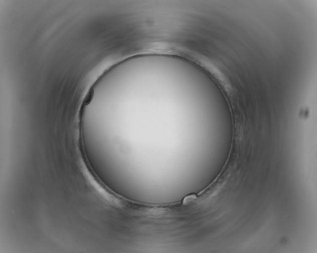 X0000091991479200709201437