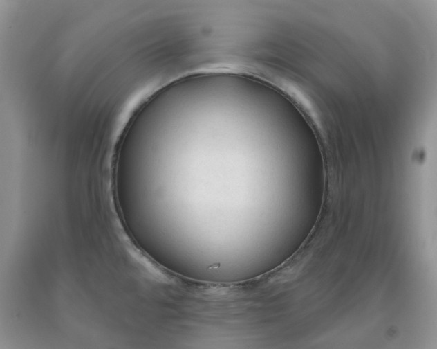 X0000091991480200709201437