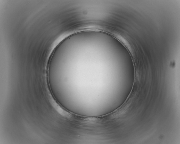X0000091991482200709201437