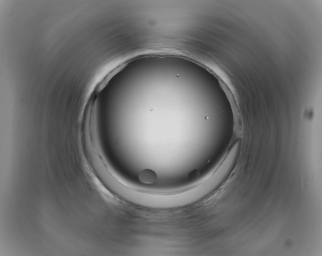 X0000091991485200709201437