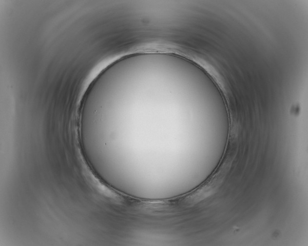 X0000091991486200709201437
