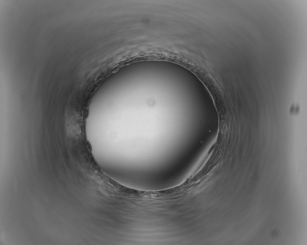X0000091991490200709201436