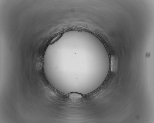 X0000091991491200709201436
