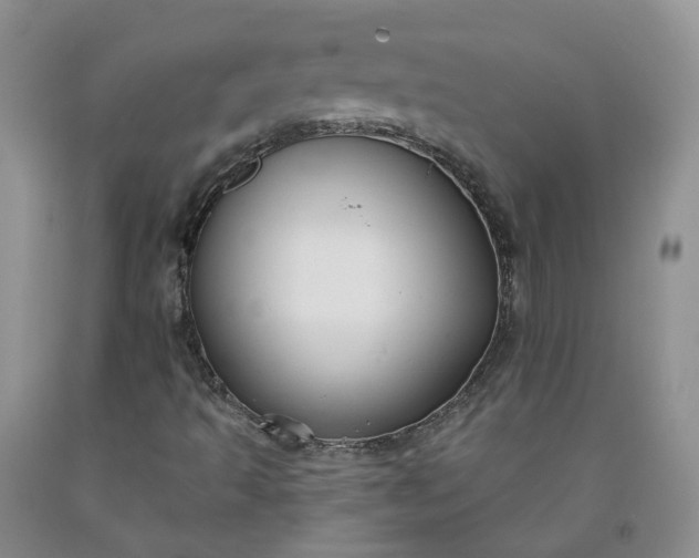 X0000091991493200709201436