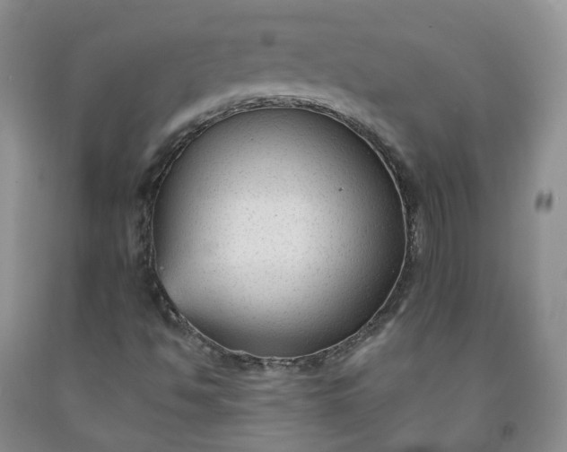 X0000091991494200709201436