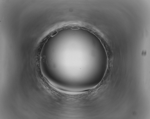 X0000091991496200709201436