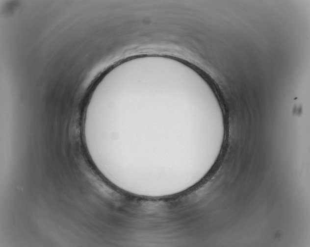 X0000091991498200709201436