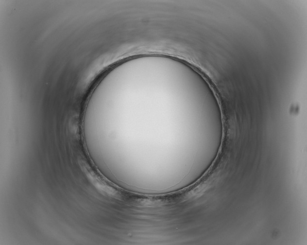 X0000091991499200709201436