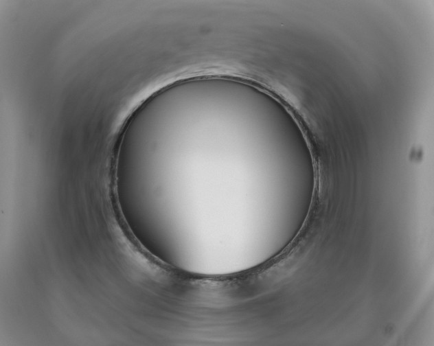 X0000091991500200709201436