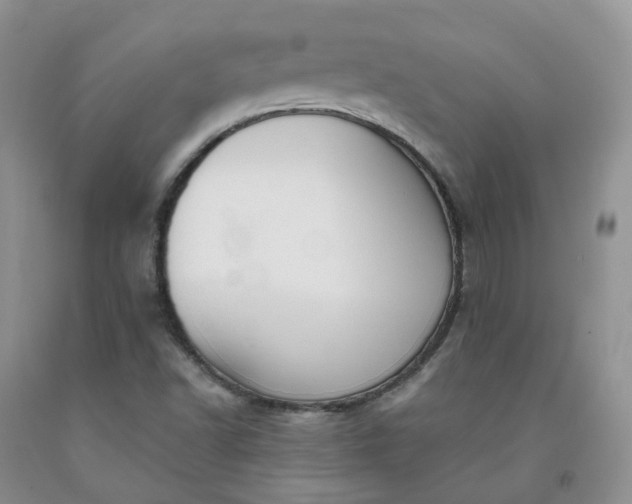 X0000091991502200709201436