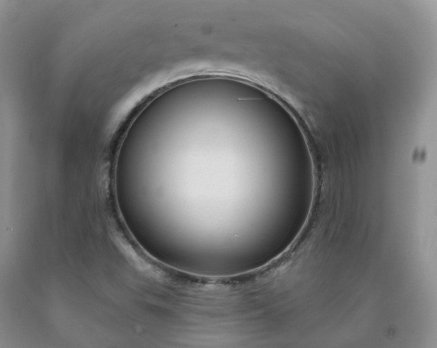 X0000091991503200709201436