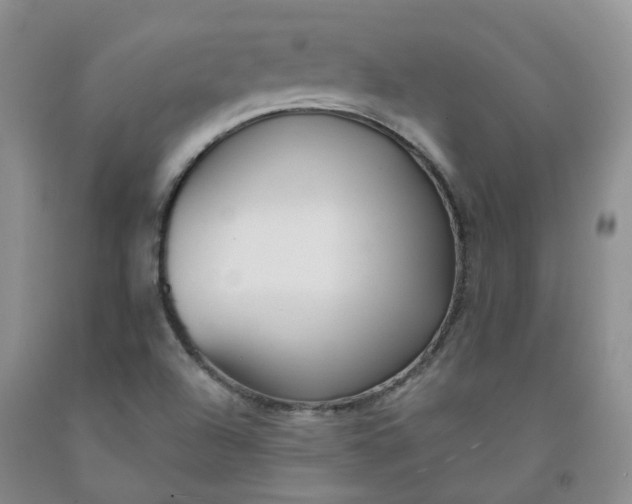X0000091991504200709201437
