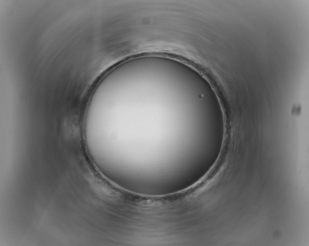 X0000091991505200709201437
