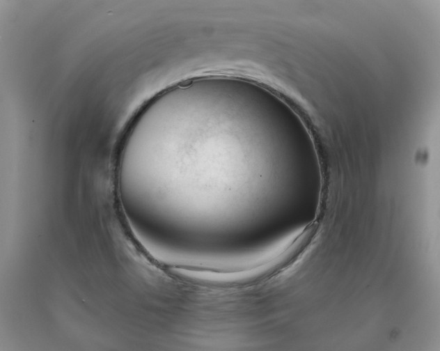 X0000091991506200709201437