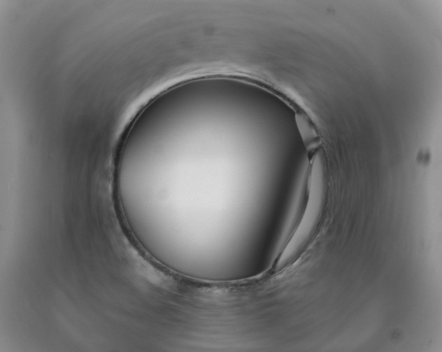 X0000091991508200709201437