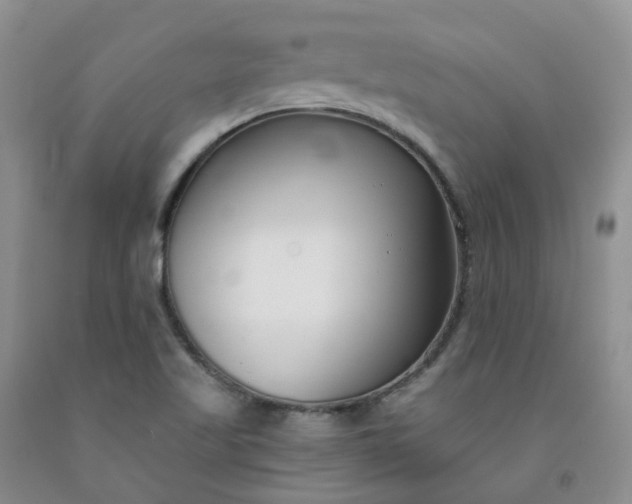X0000091991509200709201437